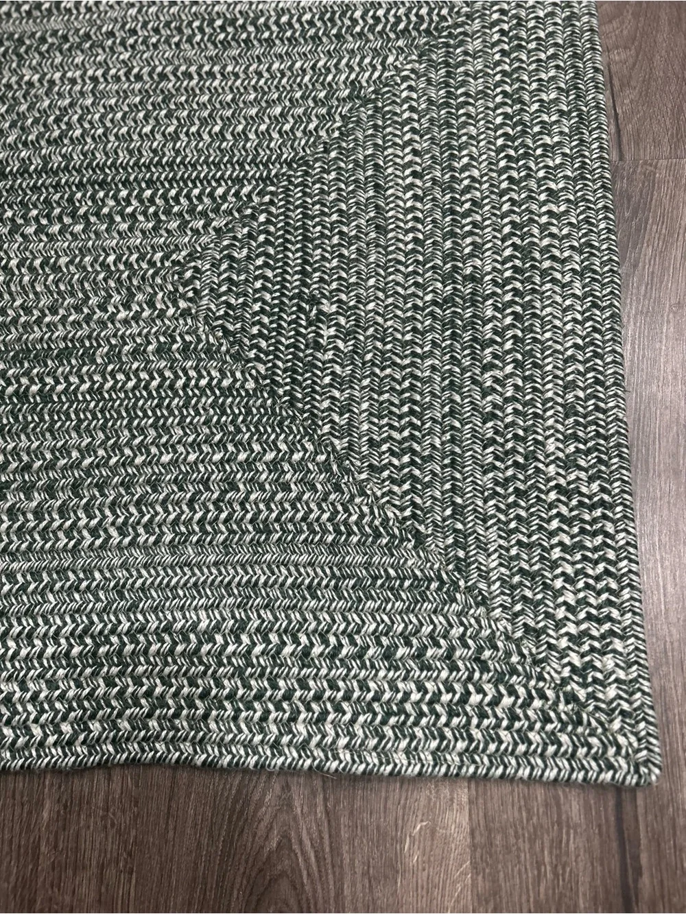 Green White Braided Indoor Outdoor Rug Door Mat 2 x 3